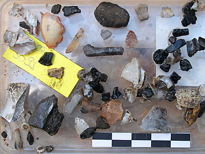 More finds discovered in the sieves while floating